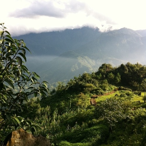ベトナムひとり旅   花モン族のマーケット